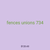fences unions 734