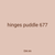 hinges puddle 677