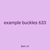 example buckles 633