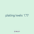 plating keels 177