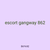 escort gangway 862