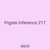 frigate inference 217