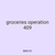 groceries operation 409