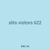 slits visitors 622