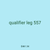 qualifier leg 557