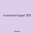 numerals leaper 308