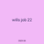 wills job 22