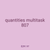 quantities multitask 807