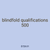 blindfold qualifications 500