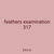 feathers examination 317