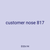 customer nose 817