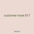 customer nose 817