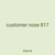customer nose 817