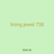 lining jewel 738
