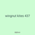 wingnut kites 437