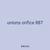 unions orifice 887