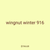 wingnut winter 916