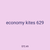 economy kites 629