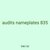 audits nameplates 835