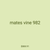 mates vine 982