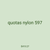 quotas nylon 597