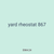 yard rheostat 867
