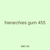 hierarchies gum 455