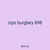 zips burglary 898
