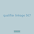 qualifier linkage 567