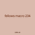 fellows macro 234
