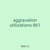 aggravation utilizations 861