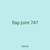 flap joint 747