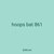 hoops bat 861