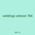 weldings veteran 784