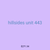 hillsides unit 443