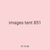 images tent 851