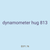 dynamometer hug 813