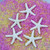 LJY 25 Pieces White Resin Pencil Finger Starfish for Wedding Decor, Home Decor and Craft Project