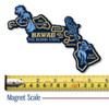 Hawaii Giant State Magnet by Classic Magnets, 5.5" x 4", Collectible Souvenirs Made in the USA