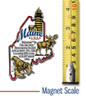 Maine Information State Magnet by Classic Magnets, 2.6" x 3.9", Collectible Souvenirs Made in the USA