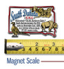 South Dakota Information State Magnet by Classic Magnets, 3" x 1.9", Collectible Souvenirs Made in the USA