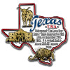 Texas Information State Magnet by Classic Magnets, 3.1" x 2.9", Collectible Souvenirs Made in the USA