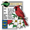 North Carolina State Montage Magnet by Classic Magnets, 3" x 3.2", Collectible Souvenirs Made in the USA