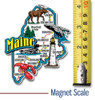 Maine Jumbo State Magnet by Classic Magnets, Collectible Souvenirs Made in the USA