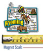 Wyoming Jumbo State Map Magnet by Classic Magnets, Collectible Souvenirs Made in the USA