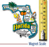 Florida Six-Piece State Magnet Set by Classic Magnets, Includes 6 Unique Designs, Collectible Souvenirs Made in the USA