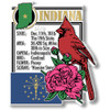 Indiana Six-Piece State Magnet Set by Classic Magnets, Includes 6 Unique Designs, Collectible Souvenirs Made in the USA