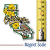 California State Bird and Flower Map Magnet by Classic Magnets, Collectible Souvenirs Made in the USA