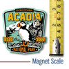 Acadia National Park Magnet by Classic Magnets, Discover America Series, Collectible Souvenirs Made in the USA