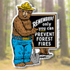 Smokey Bear Set of Six Magnets by Classic Magnets, Collectible Souvenirs Made in the USA